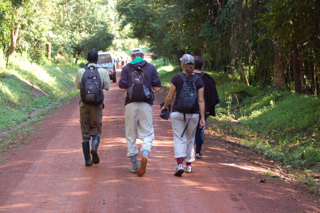 Ready for Chimpanzee Tracking