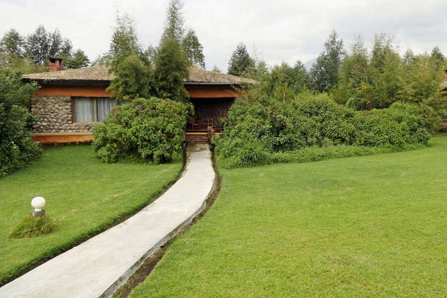 mountain-gorilla-view-lodge-grounds